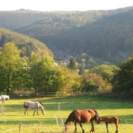 Pretty Cottage Ardennes Near The Valley Of Lesse Vencimont Dış mekan fotoğraf